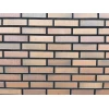 Кирпич лицевой керамический 1НФ 250х120х65 Эльтон Флеш М200 Volgabrick